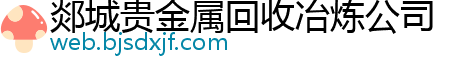 郯城贵金属回收冶炼公司